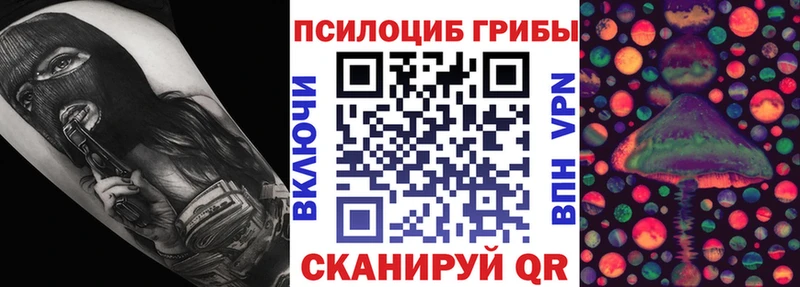 Псилоцибиновые грибы Cubensis  Купить где  Жирновск 